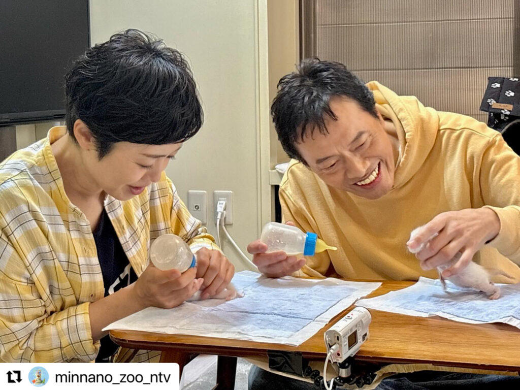 ペットシッター 茨城,ペットシッター ひたちなか市,ペットシッター 那珂市,ペットシッター 大洗,ペットシッター 東海村,ペットシッター 水戸市,ペットシッター 鉾田市, ペットシッター 笠間市,ペットシッター 城里町,ペットシッター 常陸大宮市,ペットシッター 常陸太田市,ペットシッター 小美玉市,猫シッター 茨城,猫シッター ひたちなか市,猫シッター 那珂市,猫シッター 大洗,猫シッター 東海村,猫シッター 水戸市,猫シッター 鉾田市,猫シッター 笠間市,猫シッター 城里町,猫シッター 常陸大宮市,猫シッター 常陸太田市,猫シッター 小美玉市,ペットシッター,キャットシッター,猫シッター,ねこシッター,ペット,キャット,猫,ねこ,シッター,茨城,茨城県,ひたちなか市,那珂市,大洗,東海村,水戸市,鉾田市,笠間市,城里町,常陸大宮市,常陸太田市,小美玉市,NEKOGOTO,ネコゴト