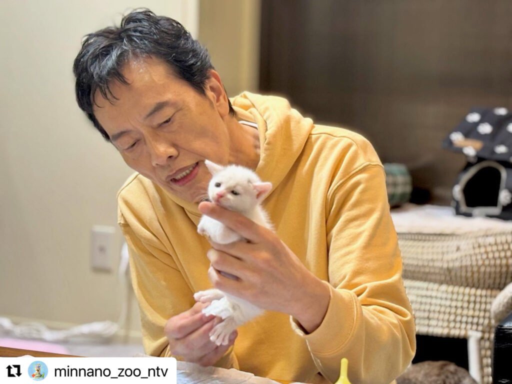 ペットシッター 茨城,ペットシッター ひたちなか市,ペットシッター 那珂市,ペットシッター 大洗,ペットシッター 東海村,ペットシッター 水戸市,ペットシッター 鉾田市, ペットシッター 笠間市,ペットシッター 城里町,ペットシッター 常陸大宮市,ペットシッター 常陸太田市,ペットシッター 小美玉市,猫シッター 茨城,猫シッター ひたちなか市,猫シッター 那珂市,猫シッター 大洗,猫シッター 東海村,猫シッター 水戸市,猫シッター 鉾田市,猫シッター 笠間市,猫シッター 城里町,猫シッター 常陸大宮市,猫シッター 常陸太田市,猫シッター 小美玉市,ペットシッター,キャットシッター,猫シッター,ねこシッター,ペット,キャット,猫,ねこ,シッター,茨城,茨城県,ひたちなか市,那珂市,大洗,東海村,水戸市,鉾田市,笠間市,城里町,常陸大宮市,常陸太田市,小美玉市,NEKOGOTO,ネコゴト