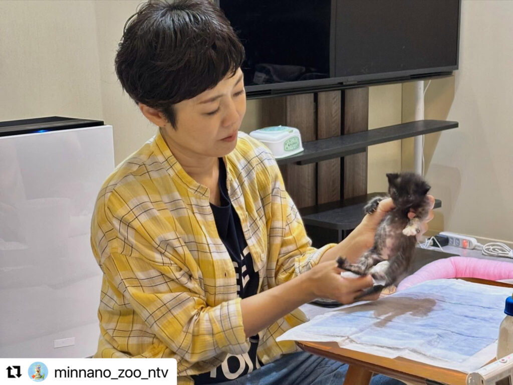 ペットシッター 茨城,ペットシッター ひたちなか市,ペットシッター 那珂市,ペットシッター 大洗,ペットシッター 東海村,ペットシッター 水戸市,ペットシッター 鉾田市, ペットシッター 笠間市,ペットシッター 城里町,ペットシッター 常陸大宮市,ペットシッター 常陸太田市,ペットシッター 小美玉市,猫シッター 茨城,猫シッター ひたちなか市,猫シッター 那珂市,猫シッター 大洗,猫シッター 東海村,猫シッター 水戸市,猫シッター 鉾田市,猫シッター 笠間市,猫シッター 城里町,猫シッター 常陸大宮市,猫シッター 常陸太田市,猫シッター 小美玉市,ペットシッター,キャットシッター,猫シッター,ねこシッター,ペット,キャット,猫,ねこ,シッター,茨城,茨城県,ひたちなか市,那珂市,大洗,東海村,水戸市,鉾田市,笠間市,城里町,常陸大宮市,常陸太田市,小美玉市,NEKOGOTO,ネコゴト